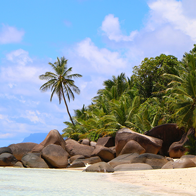 offshore company registration in the Seychelles by Lavecoworking 